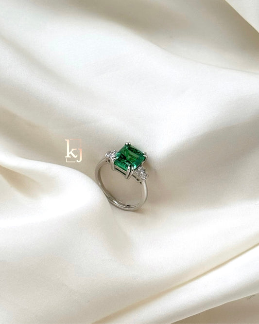 Dixon ring