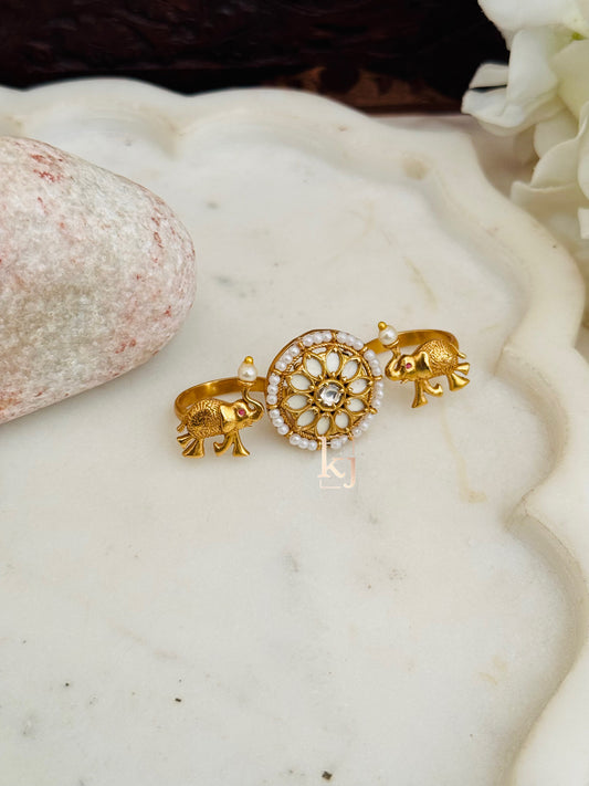 Zivi ring
