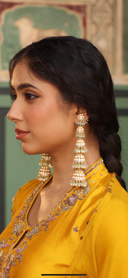 Vedisha long jhumka earrings