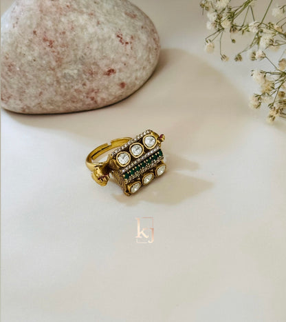 Ira ring