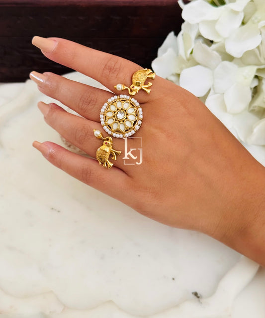 Zivi ring