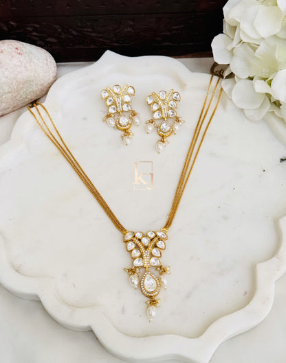 Prune elegant set