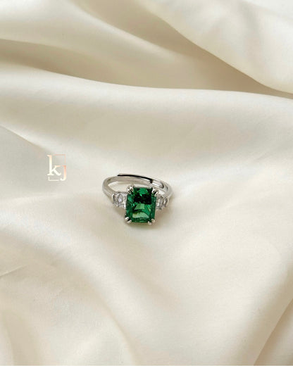 Dixon ring