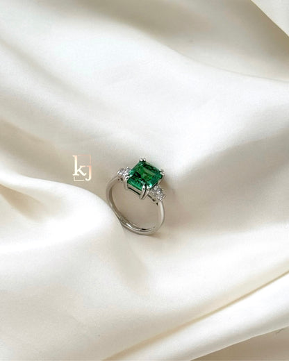 Dixon ring